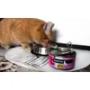 Happy Leonard with Cosma Tuna and Papaya flavour