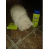 champu y toalla que bien