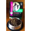 Eukanuba Adult Indoor
