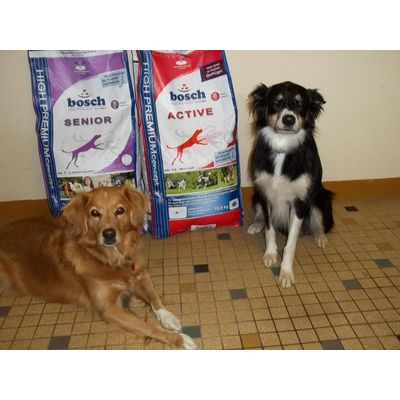 Laika und Mona