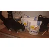 erfolgreicher Futtertest
