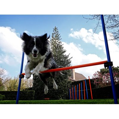 I believe I can fly