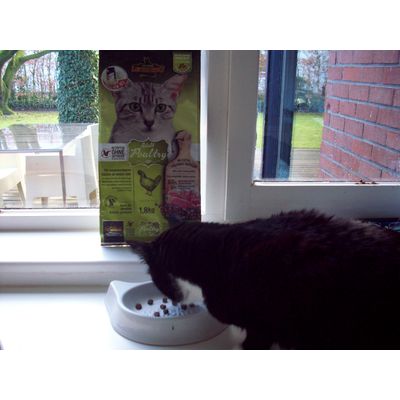 Rufus loves his Leonardo Grainfree kibbles