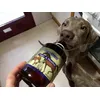 Pandora y Sheldon chupando el bote vacio