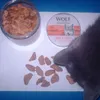 kippenhart ook voor de kat