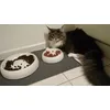 Lucky-Kitty Katzennapf