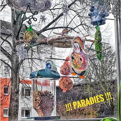 Paradies