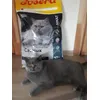 Josera catelux
