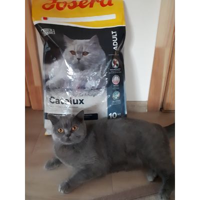 Josera catelux