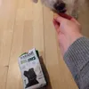 Happy vegan dog