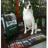 Zoetta e le nuove crocchette Happy Dog al cavallo