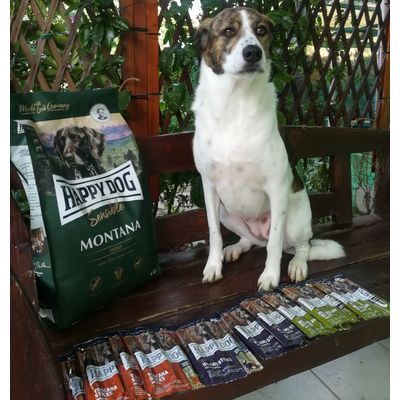 Zoetta e le nuove crocchette Happy Dog al cavallo