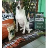 Zoetta Happy Dog  Forever 