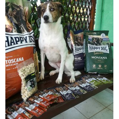 Zoetta Happy Dog Forever