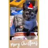 Purina Pro Plan Chaton Poulet