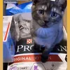 Purina Pro Plan Chaton Poulet