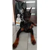 Astra      Purina Pro Plan