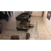 Perfekt