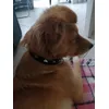 Bailey
