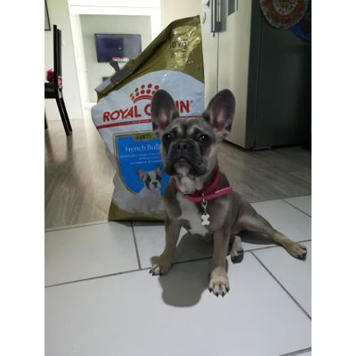 Bella