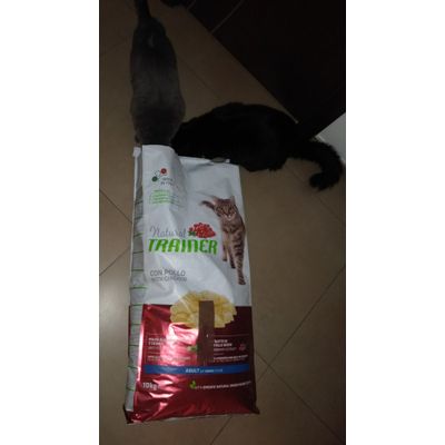 NaturalTrainer
