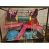 cage de mes rats depuis 6 ans