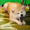 MARU