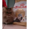 Royal canin 4kg