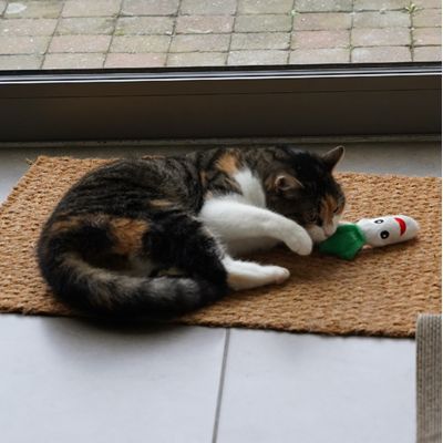 Marie is dol op Catnip veggies
