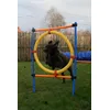 Agility springring 
