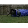 Agility tunnel