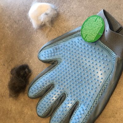 After two minutes of brushing