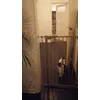 Chats qui aiment gratter aux portes
