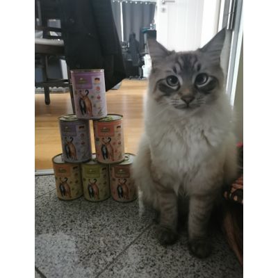 Rahjas neues Futter