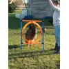 Cerceau agility