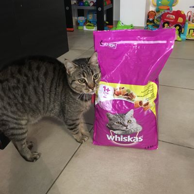 Babouche a faim