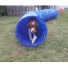 Tunnel agility