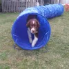 Tunnel agility