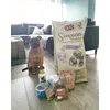 Chilli and her treats 