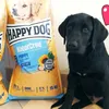 HappyDog