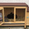 Cosy hutch