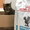 Royal hypoallergenic