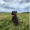 4 Jahre bei Wind und Wetter