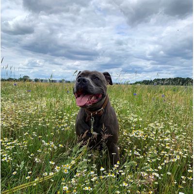 4 Jahre bei Wind und Wetter