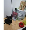 Shakirita contenta