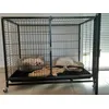 Cage mise bas