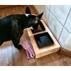 KOKA in love with her new bowls 