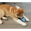 Suki en est fan