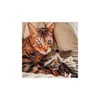 Bengalproof