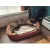 Our presa canario likes this bed very much